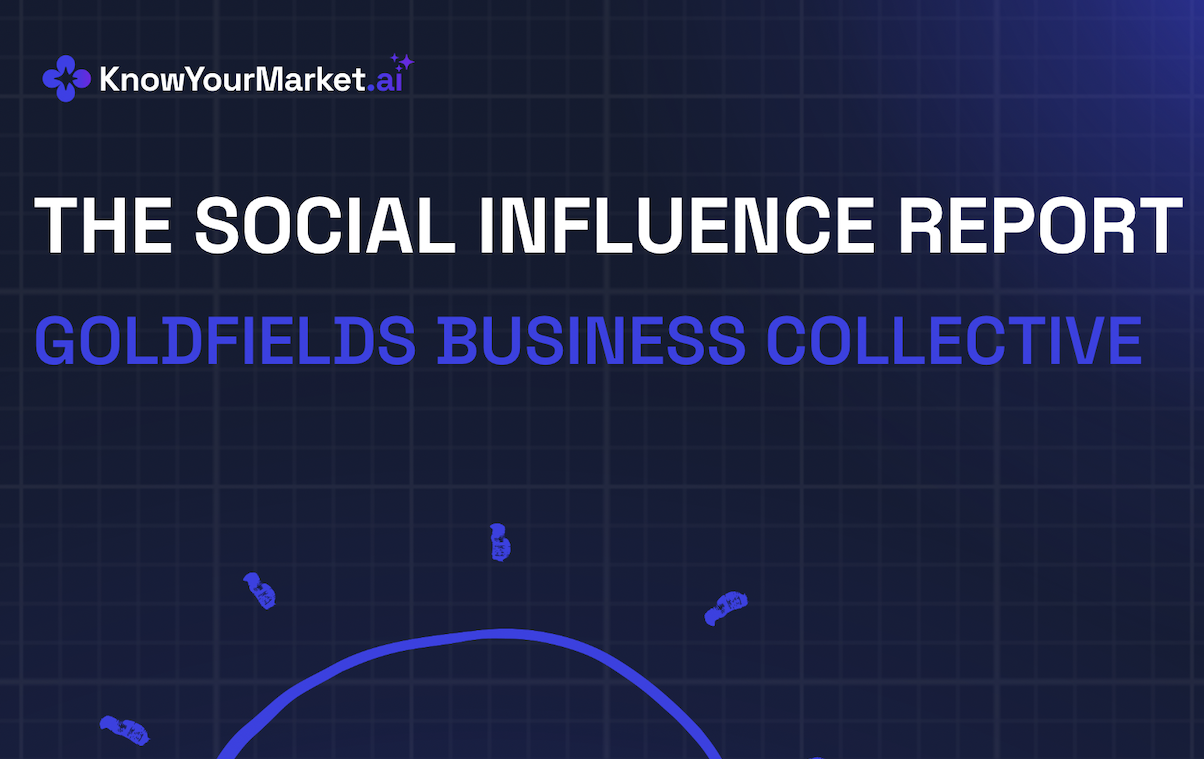The Social Influence Audit
